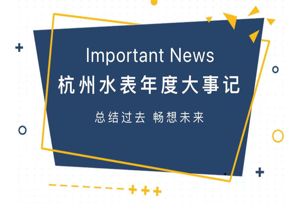 杭水水表年度大事记