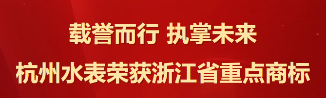 杭州水表荣获浙江省重点商标