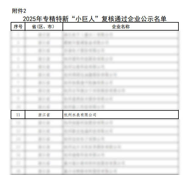 以恒心铸匠心｜杭州水表蝉联国家专精特新“小巨人”称号